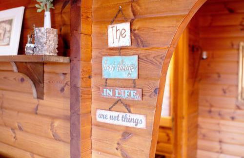 Bühberg Alm - Foto 15