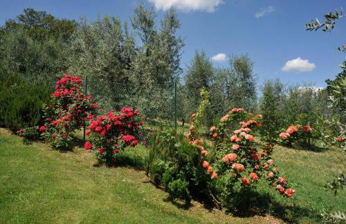 San Lorenzo - Foto 18