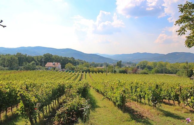 Farmhouse in Umbertide With Pool - Foto 40