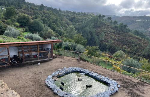 House with saltwater pool - Charming in the Douro Valley - Foto 56