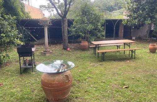 Il Piccolino - Foto 7