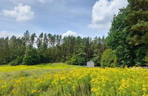 Domek letniskowy całoroczny nad jeziorem Ciche Robotno ZBICZNO - Foto 6