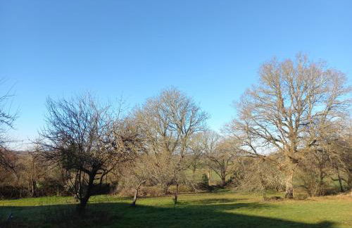 Gite de l'Oeil - Foto 44