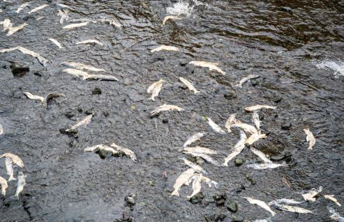 Cozy Luxury Close to Downtown 204 - Foto 16