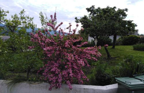 Holiday Home Magdalena - Photo 27