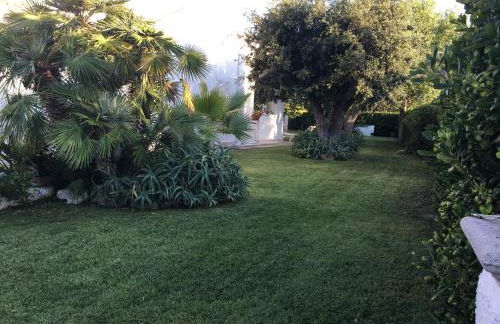 Villa sul mare Rosa Marina - Foto 14