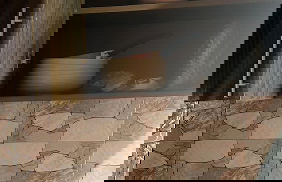 Cozy Bricks Apartments - Foto 7