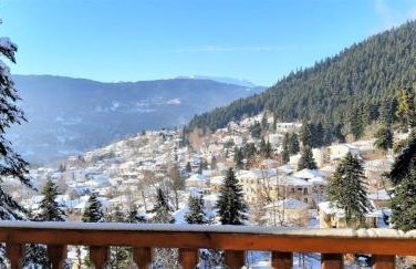 Evergreen Elati - Foto 64