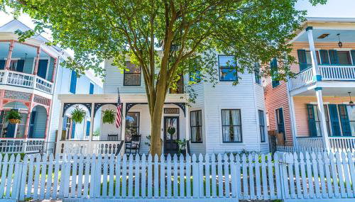 Coast is Clear - Foto 1