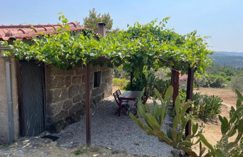 Quinta do Sobral de São Geraldo - Foto 33