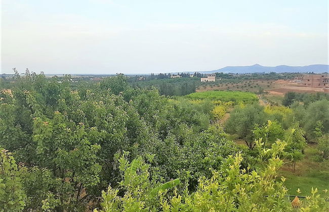 Ferme Andalousse - Foto 20