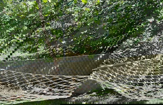 Cakil Apart - Photo 45