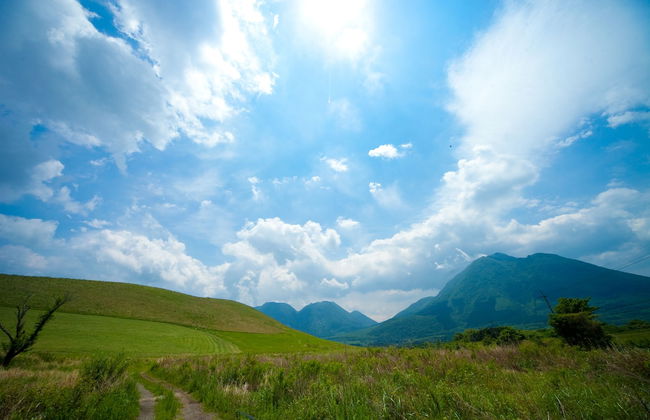 Yufuin Tsukahara Kogen Sanso Donguri - Foto 66