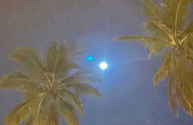 Royal Terrace PRINCE III - Photo 13