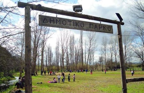 homonatura petrinum - Foto 36