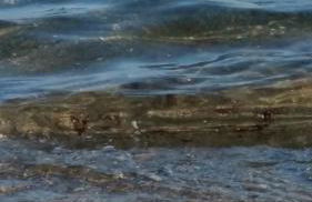 Wormshöft 16 - Foto 9