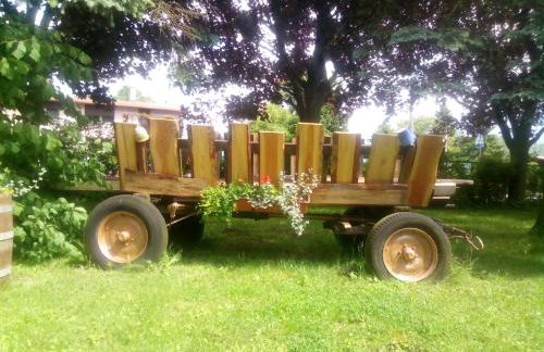 Agroturystyka Dwie Podkowy - Foto 49