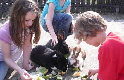 Landgasthof Probstei Zella - Foto 23