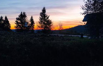 Dębowy Zakątek - Foto 33