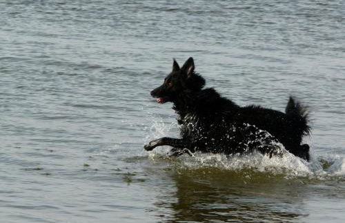 Appartement auf Rügen - Foto 75