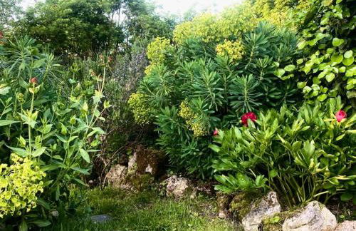 La Dragonne, centre de Bellême, maison entièrement équipée, jardin, vue forêt - Foto 26