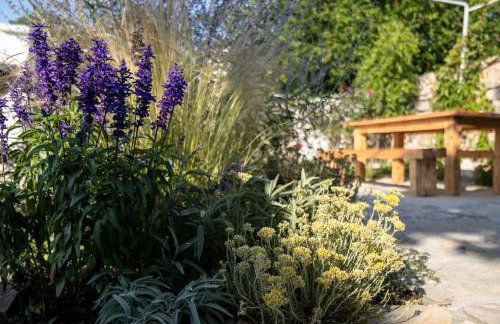 Stone House Kula Milica - Foto 7