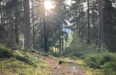 Ferienwohnung Paula - Foto 27