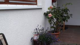 Ferienwohnung Am Wald - Photo 5