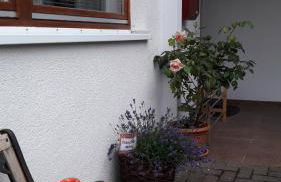 Ferienwohnung Am Wald - Foto 5