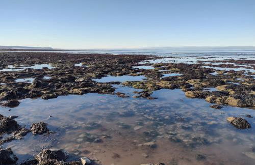 Fir Tree Shepherd's Hut - Photo 24