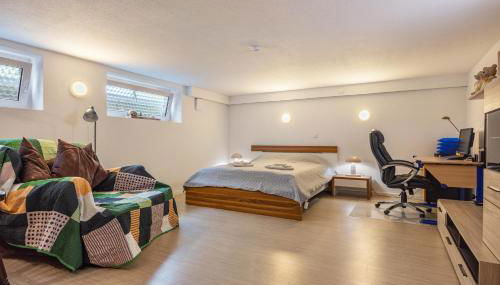 Tulip Path 3 - Foto 3