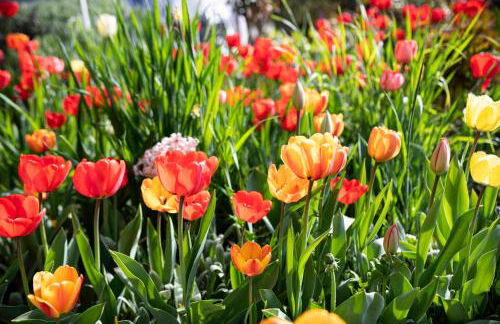 Villa Ladurner - Foto 27