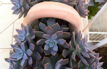 Apartment RR - Photo 44