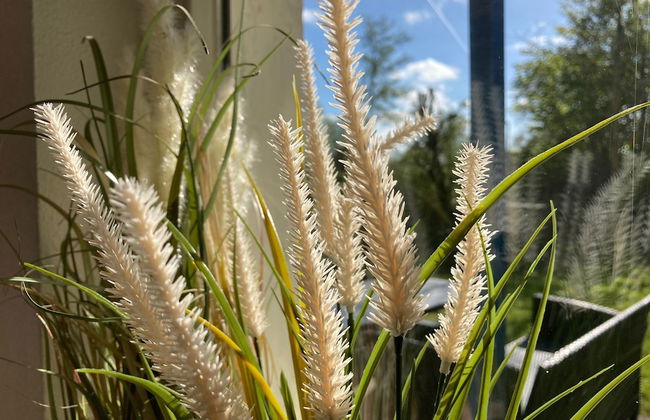 6pers House With a Private Terrace and Garden by the Lauwersmeer - Photo 34