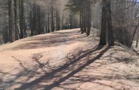 Gite Notre Désir - Photo 36