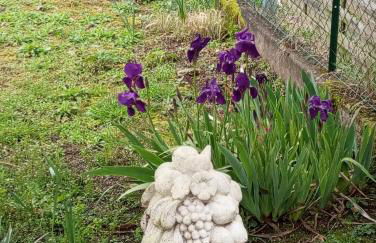 Jolie maison quartier Vesone - Foto 34