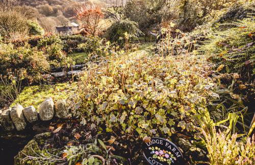 Lodge Farm Cottage - Foto 17