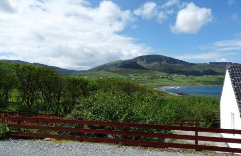 Alan's House - Foto 33