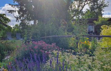 Ferienwohnung Zur Ellernmühle - Foto 21