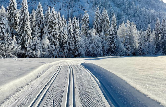 Haus Lesch - Stilvolle Appartements mit tollem Bergblick in Kreuth am Tegernsee - Foto 43