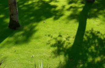 Le Loft – Espace moderne & chaleureux, verdoyant - Foto 80