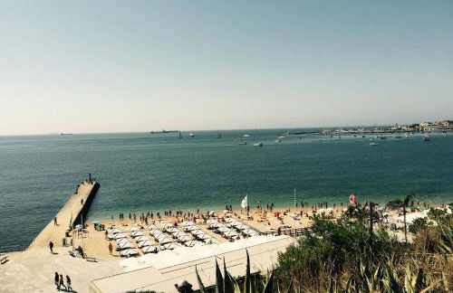 Saboia House 515 by Saboia Collection - Photo 26