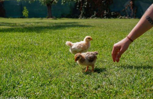 Cascina Graziosa - Foto 41