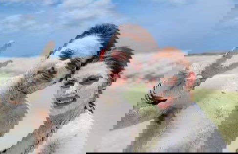 Baño de barro en los manglares de Río Lagartos - Foto 7