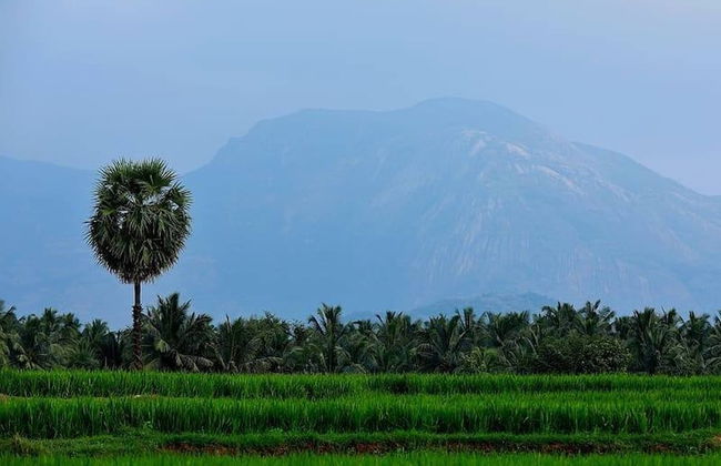 Room in Lodge - Royal Cottage, Anaimalai Room 2 - Foto 11