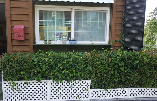 Tongyeong Iris Pension - Foto 70