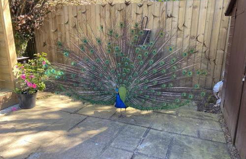 Bedgebury Forest Barn - next to Bedgebury Forest - Foto 5