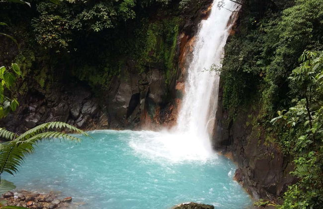 Catarata La Paz, río Celeste y aguas termales - Foto 2