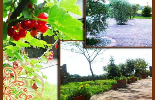 Agriturismo Podere dei kiwi - Foto 7