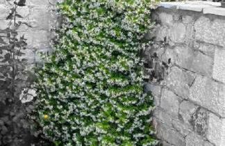 Mouses Apartments-Kardamyli - Foto 44